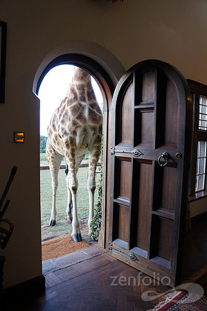 Giraffe Manor