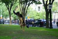 Day at the Park