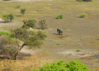 Arial Photography