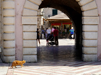 Kotor, Montengro